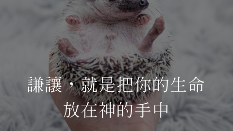 謙讓，就是把你的生命放在神的手中(溫柔的人有福了(麥安迪牧師)--)