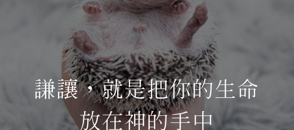 謙讓，就是把你的生命放在神的手中(溫柔的人有福了(麥安迪牧師)--)
