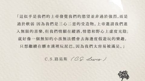 無知的小孩無法體會去海邊度假遊玩的樂趣，只想繼續在髒水溝裡玩泥巴(C.S.路易斯)