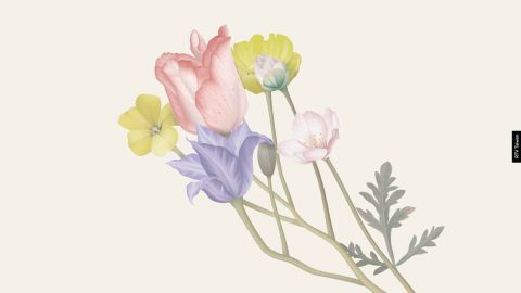 人如何改變 推薦序 經歷成長的喜樂(大衛 鮑力生)COVER