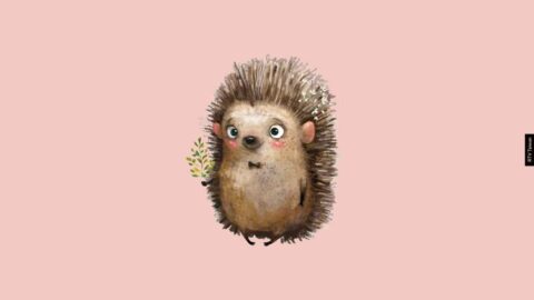 什麼是苦毒(聖經輔導小冊-情緒篇-苦毒)COVER