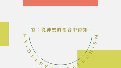 問18：那麼，誰是那位中保呢？—誰既是真神，同時又是真正和完全無罪的人？