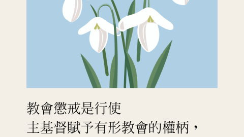 教會懲戒是行使主耶穌基督賦予有形教會的權柄，為的是要保存其純潔、和平、以及良善的秩序(改革宗神學院第85期院訊《從聖經的教導看教會的治理及信徒的本分》)