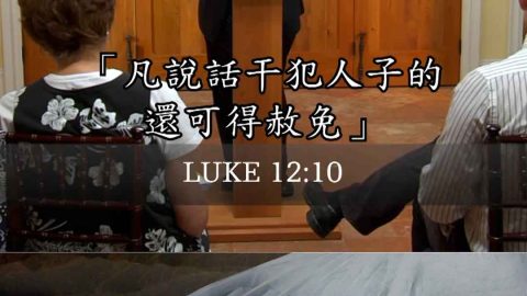 何謂褻瀆聖靈？(傅格森) 聖靈是誰5- 聖三一的團契 傅格森 Trinitarian Fellowship SINCLAIR FERGUSON (Ligonier Ministries) Traditional Chinese (1)