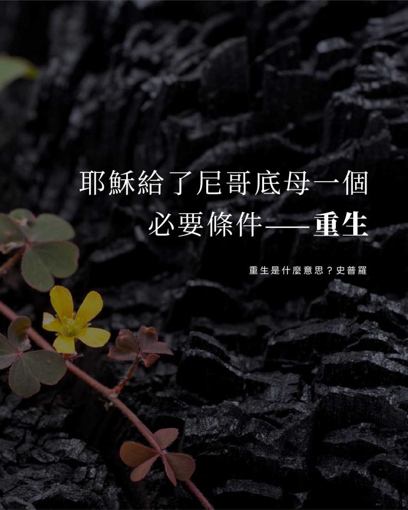 耶穌給了尼哥底母一個必要條件——重生(重生是什麼意思?史普羅)