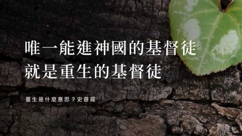 唯一能進神國的基督徒就是重生的基督徒(重生是什麼意思？史普羅)