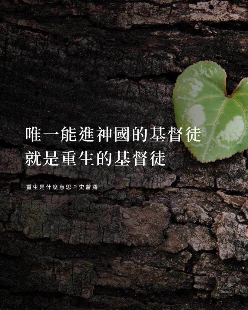 唯一能進神國的基督徒就是重生的基督徒(重生是什麼意思?史普羅)