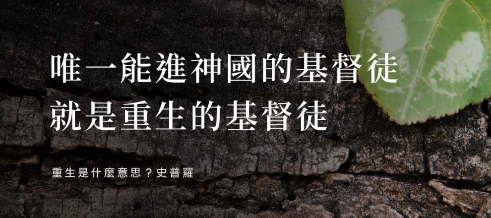 唯一能進神國的基督徒就是重生的基督徒(重生是什麼意思?史普羅)